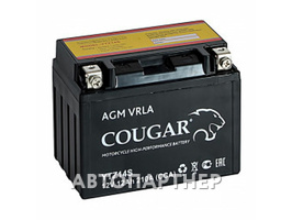 COUGAR AGM VRLA 12В 6ст 12 а/ч пп YTZ14S